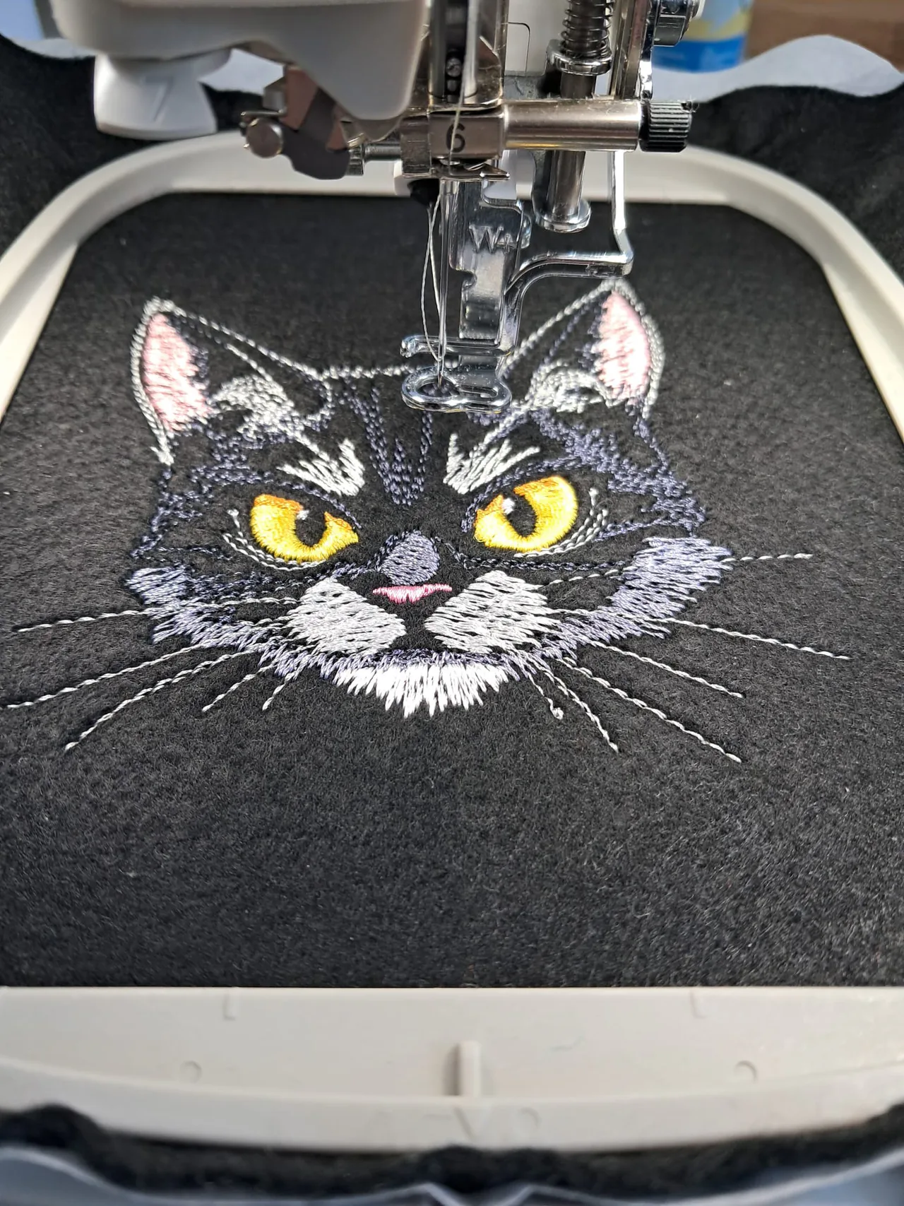 Stickmotiv Katze grumpy Lichteffekt eingespannt in Stickrahmen