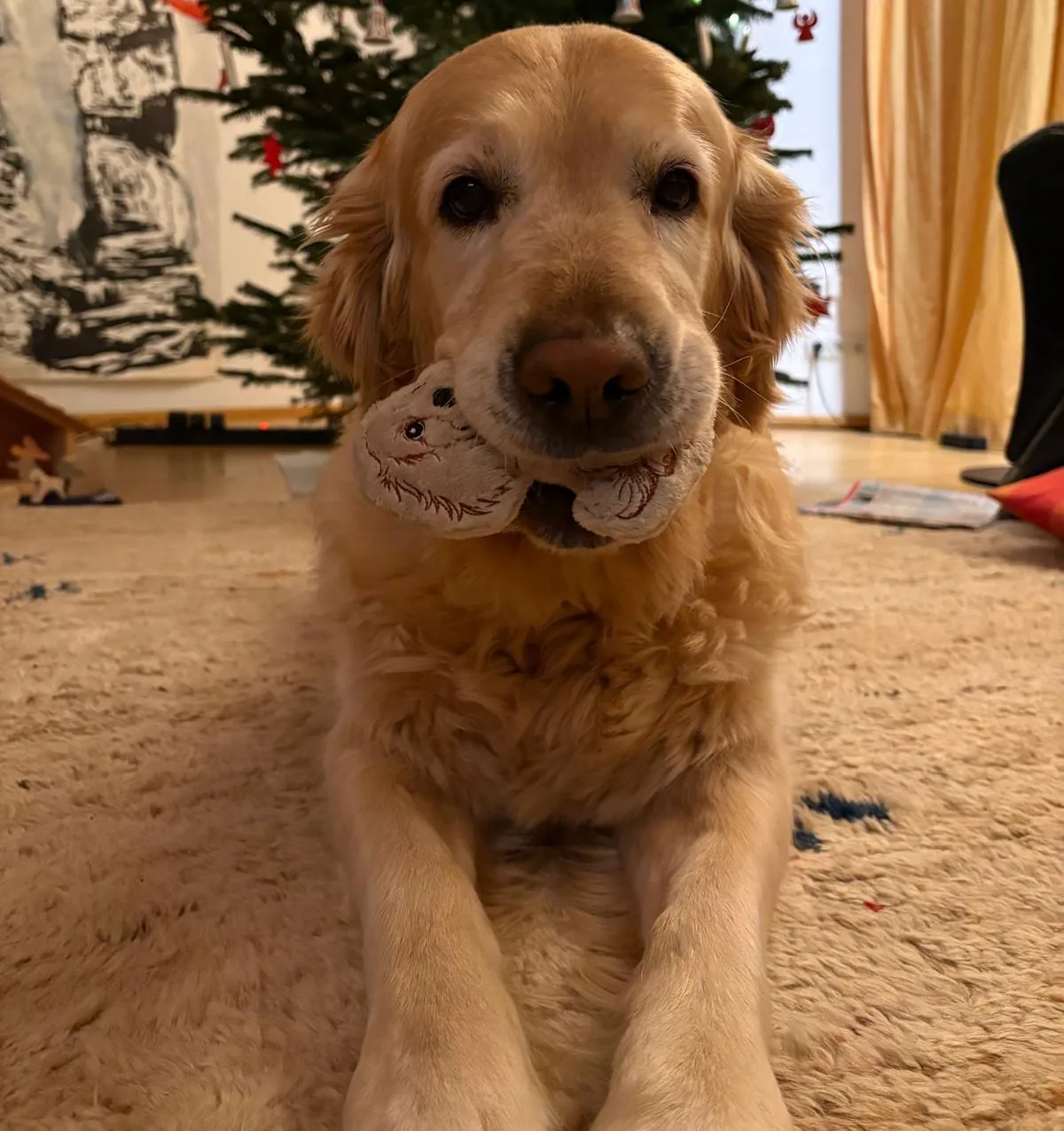 Embroidery File of the Month January 2026: ITH Stuffie Goldie Klaus tested by dogs