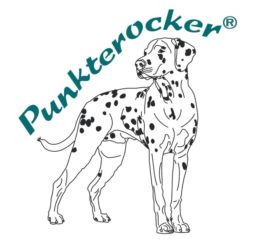Punkterocker®